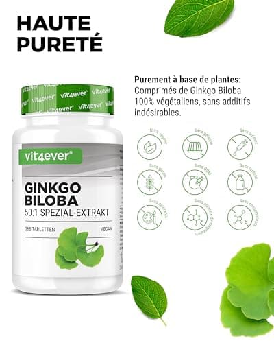 Ginkgo Biloba 6000 mg - 365 Comprimés - Premium : Avec glycosides de flavone + ginkgolide terpène lactones & acide ginkgolique libre - Sans additifs indésirables - Hautement dosé - Végétalien