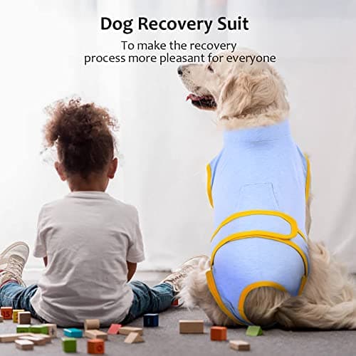 Kuoser Combinaison de récupération pour Chien pour Petite Moyenne Grande Taille, Protecteur de plaie Abdominale, maladie de la Peau de Chat, Chiot après Une opération chirurgicale