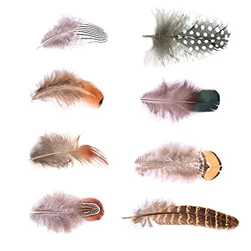Dtoterul Plume Artificielle 220 Pièces Plumes de Faisan Plumes Artisanales Plumes De Bricolage Plumes Artisanat Plumes Plumes de Poulet Multicolores Marron Plumes Feathers pour Artisanat
