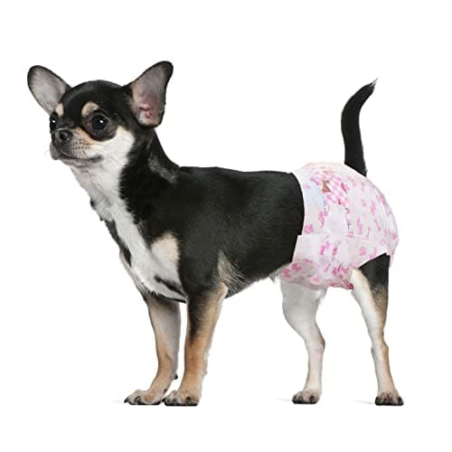 Dono Couches jetables pour Chiens Femelles, Couches Super absorbantes pour Chiens, Couches pour Chiots avec Technologie Gel Flash Dry, Couches pour Chats étanches pour Chiens en Chaleur, Incontinence