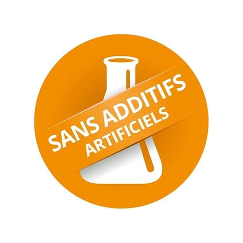Greenfood Vitamine K2 (MK7, all-trans), 1000 μg, dose élevée, 150 gélules – pour la santé des os et la coagulation du sang. SANS additifs artificiels. Sans organisme génétiquement modifié. Vegan