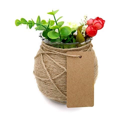 jijAcraft Étiquettes Papier Kraft Etiquette Cadeaux Rectangulaire 9x4,5cm, 100 pièces et Ficelle de Jute, pour Mariage Noël Anniversaire Artisanat (marron)