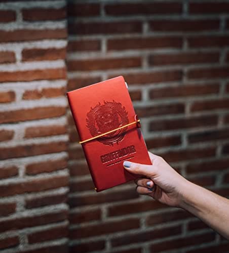 Grupo Erik CTBV017 - Ensemble Carnet de Voyage Harry Potter Gryffondor - Carnet de Notes 2 en 1 - Notebook Simili Cuir