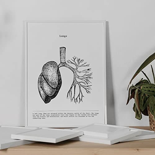 Nacnic Ensemble de 3 Affiches d'anatomie en Noir et Blanc avec des Images du Corps Humain. Pack de fiches sur la biologie avec Cœur, Cerveau et Poumons. Format A3. sans Cadre.