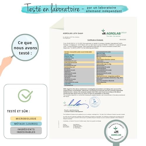 Tribulus Terrestris 10800 mg | DOSAGE ÉLEVÉ + 90% Saponines | Musculation, Énergie, Endurance | 120 Gélules | Sans Additifs et 100% NATUREL | VEGAN | Vegavero®