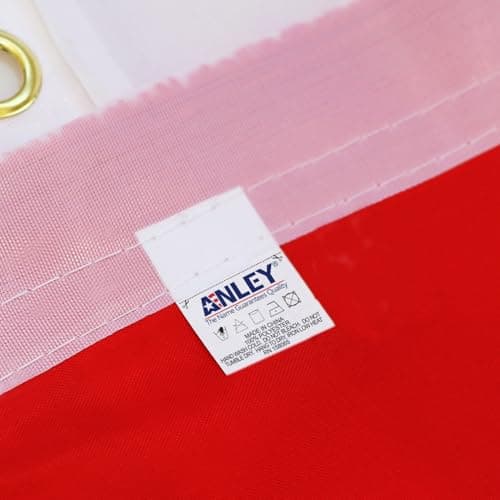 Anley Fly Breeze 3x5Pi Drapeau du Brésil-Couleur Vive Résistant aux UV-Tête en Toile/Double Couture-Drapeau Brésilien Polyester œillet en Laiton 3x5Pi