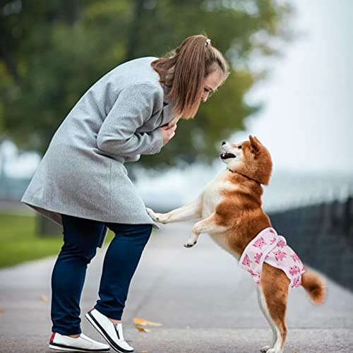 Czemo Lot de 3 Couche pour Chien Lavable, Couches Réutilisable Chien Incontinent Culotte pour Chien Femelle en Chaleur, Convient Aux Petits, Moyens et Grands Chiens (XL)