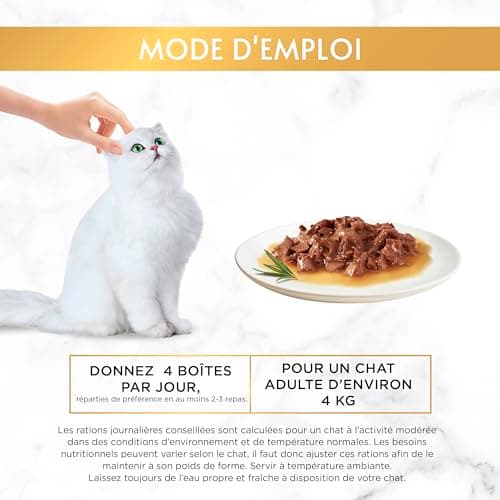 GOURMET GOLD Régal de Sauces 12x85g