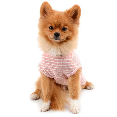 PAIDEFUL Vêtements pour Petits Chiens Garçon Fille été rayé Chiot t-Shirt Gilet Respirant Coton t-Shirt sans Manches Chihuahua Yorkshire Rose M