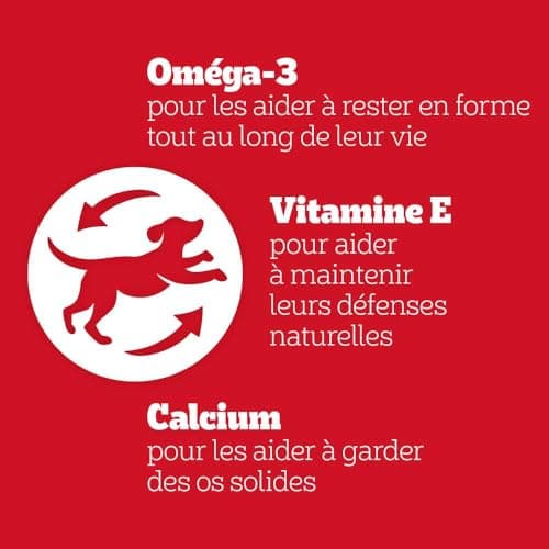 PEDIGREE MEGA BOX Récompenses - Mix Friandises Rodeo Duo 24 sticks & Jumbone 4 Os à Mâcher - 780g - Friandises Idéales pour Eduquer ou Faire Plaisir à son Chien