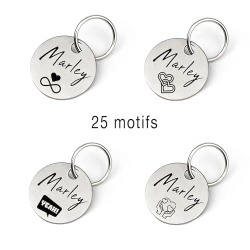 Médaille chien gravée personnalisée | nom, numéro de téléphone, écriture manuscrite, patte, cœur, les deux côtés | Étiquette de chien et chat en acier inoxydable de, pendentif nom, 23 mm