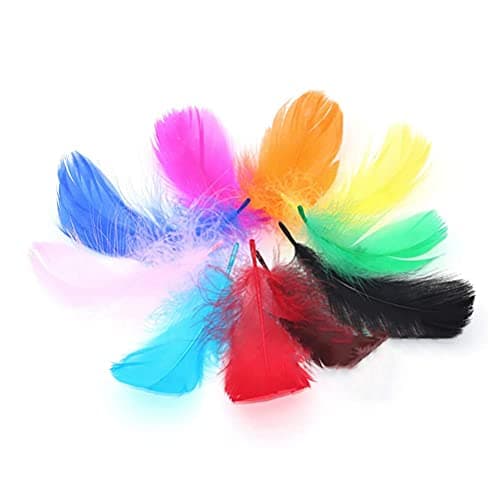 Plumes Couleur,300 PCS Plume Loisirs Creatifs Naturelles Décorations Plumes pour Bricolage Capteurs de Rêves Chapeaux Costume Fête à la Maison Décorations Mariage 8-12CM