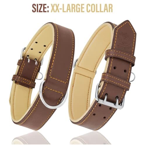 Riparo Collier pour Chien en Cuir véritable (Marron, L: 3,8 cm de Large pour 45,7 cm - 53,3 cm de Cou)