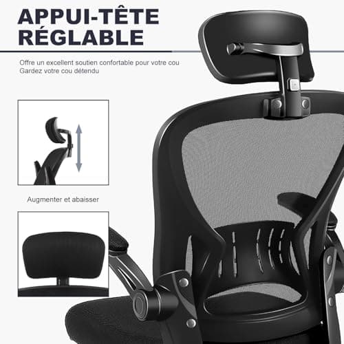 Flysky Chaise de Bureau Ergonomique, Chaise d'ordinateur réglable en Hauteur avec Support Lombaire et Appui-tête, pivotante, Tissu maillé, Noir