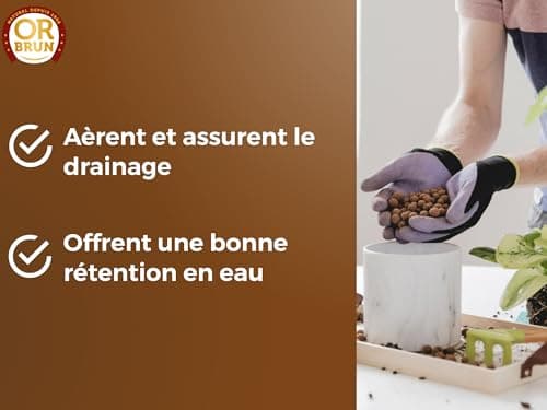 Or Brun Billes d'argile - 6L - Favorise Le Drainage & L'Humidité - Utilisable en Agriculture Biologique OBRPARG6U