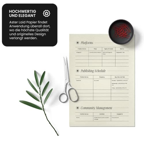 Netuno 50x papier ivoire nervuré A4 297x210mm 120g Aster Laid Ivory papier décoratif de haute qualité papier à nervures papier texturé papier structuré pour baptême mariage lettres cartes de vœux