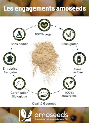 Lucuma en poudre BIO 500G | Sucrant Naturel, Sans sucre ajoutés | 100% Naturel et Pur | Alternative au sucre | Sans OGM, sans Conservateurs | Qualité Supérieure