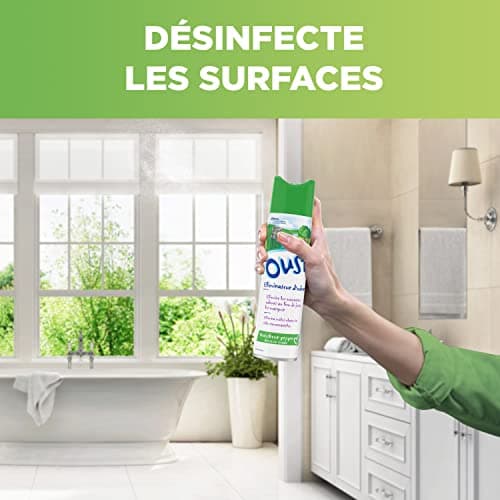 Oust Aerosol Fraicheur Propre Désodorisants - 300 ml