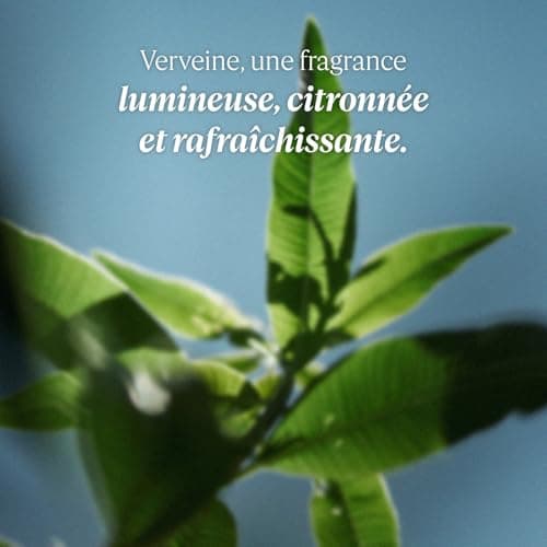 L'OCCITANE - Éco-Recharge Savon Liquide Mains & Corps Karité Verveine - 500 ml - Fabriqué en France