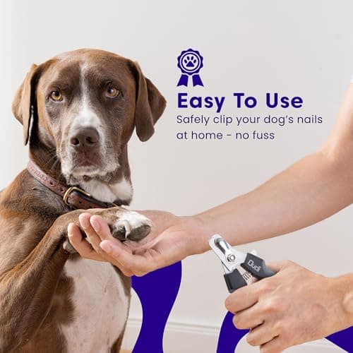 Dudi Pet Coupe Griffe et Lime pour Chien - Coupe Ongle pour Chien ou Chat avec Cran de Sécurité - Pince Coupante à Griffes ou a Ongles Chiens Chats Lapin Toutes Tailles - Large