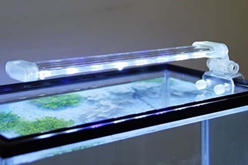 BPS Lampe d'aquarium LED submersible pour plantes lumière blanche et bleue 8W