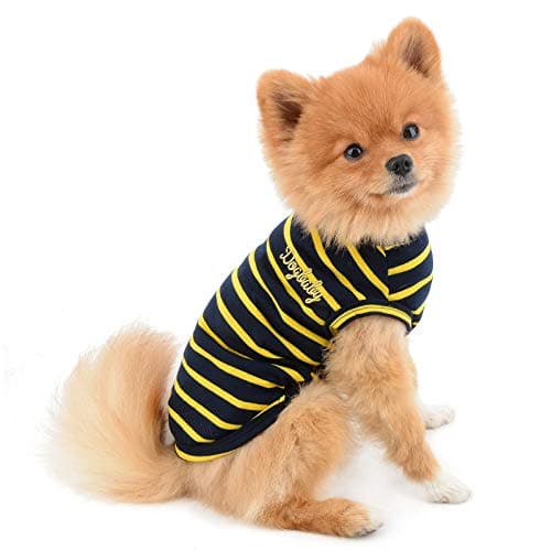 PAIDEFUL Vêtements pour petits chiens, chats, garçons et filles, été à rayures classiques T-shirt gilet respirant en coton T-shirt sans manches Chihuahua Yorkshire