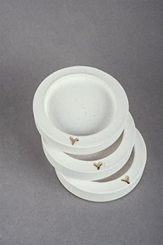 Rayher 3410302 RAYSIN 100 plâtre/poudre de moulage, blanc, 1 kg, durcissement rapide à l’air, inodore, structure fine, moulage d’objets décoratifs, Blanc