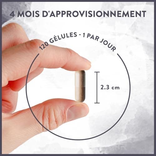 Lions Mane 18000mg 30:1 avec Cordyceps Sinensis, Reishi Ganoderma et Zinc | Criniere de Lion Champignon Hericium Erinaceus Nootropique Puissant Memoire et Concentration Mushroom Complex - 120 Gelules