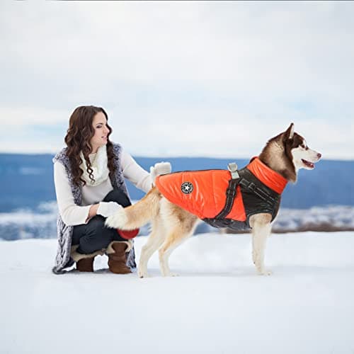 Oslueidy Manteau de Chien d'hiver, vêtements pour Animaux de Compagnie imperméables Veste de Chien Chaude Veste de Chien imperméable Sweat à Capuchon pour Animaux de Compagnie