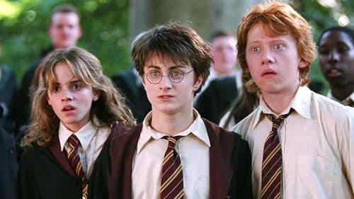 Harry Potter - Coffret Intégrale 8 Films [Blu-Ray]