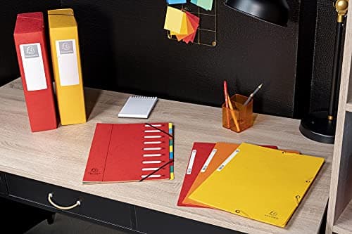 Exacompta - Réf. 55510E - Paquet de 10 chemises à élastiques - pochettes 3 rabats - en carte lustrée 400 g/m2 - dimensions 24 x 32 cm pour documents au format A4 - 10 couleurs assorties