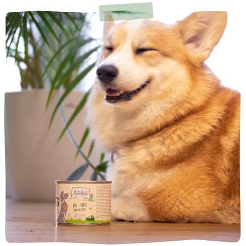 MjAMjAM - Nourriture Humide Premium pour Chiens - naturellement délicieux - Bio Boeuf aux courgettes,Paquet de 6 (6 x 800g), sans céréales avec Extra Viande