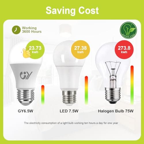 GY Ampoule LED E27 6.5W (équivalent 75W), 6500K Blanc Froid 1050 lumens, A60 Ampoules E27 LED Efficacité Energétique, Dépolie, Non-Dimmable, 6 Unité (Lot de 1)
