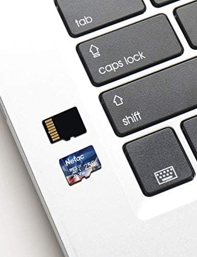 Netac 256 Go SDXC Carte Mémoire Micro SD pour Switch, Appareil Photo, Smartphone, PS Vita, PS4 Pro, Go Pro (UHS-1 A1 V30 U3 C10 4K UHD)