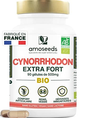 Cynorrhodon BIO | Hautement Dosé : 15 000mg / jour (10:1) | Confort Articulaire, Immunité | 90 gélules de 500mg | Riche en Vitamine C | Qualité Supérieure