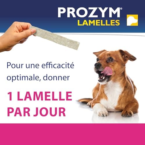 PROZYM Pack 2x15 Lamelles pour Chiens - Soin Dentaire à mâcher - N°1 chez Les vétérinaires - Haleine fraîche - Anti-tartre - Anti-Plaque - Gencives saines - 30 Lamelles (L)
