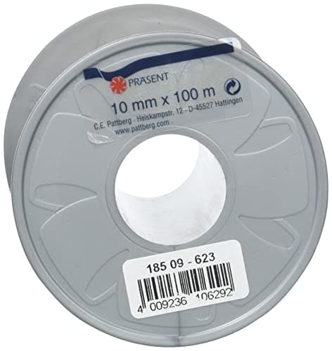 PRÄSENT Prasent Ruban en polypropylène Couleur pailletée 100 m x 10 mm