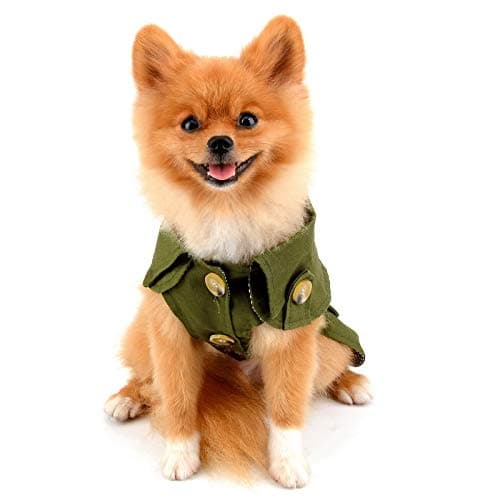 PAIDEFUL Manteau pour petit chien - Coupe-vent - Style western - Pour l'automne et l'hiver - Taille M