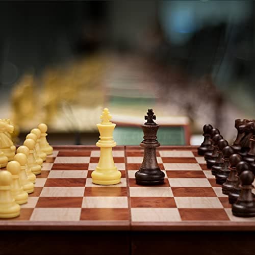 Peradix Jeu déchecs et Dames 2 en 1, Echiquier Magnétiques, Echec Pliable de Voyage, Echecs Chess Board Jeux Plateau et Les Morceaux pour Enfants et Adultes (25×25 CM)