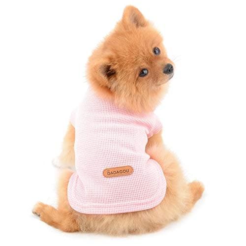 PAIDEFUL Chemises pour Petits Chiens de Taille Chats Gilet en Coton Doux de Couleur Unie Tee-Shirt Respirant Débardeurs Chiot Chihuahua Vêtements t-Shirts Été pour Animaux de Compagnie Rose M