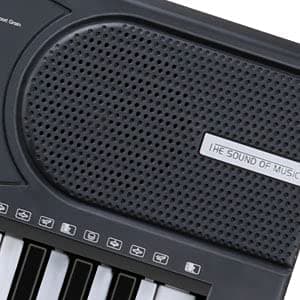 Hricane Clavier électronique 61 touches pour enfants, l'instrument de piano électronique portable pour débutant avec microphone, pupitre, autocollant (noir)