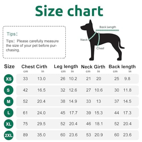 CITÉTOILE Manteau Chaud pour Chien, Veste Coupe-Vent pour Chien par Temps Froid, vêtement d'hiver pour Chien avec Fermetures éclair et Poignets Amples, Verte, XS
