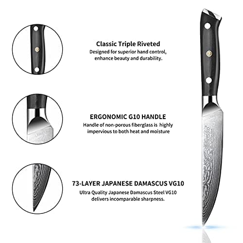 Sunnecko Couteaux à Steak Damas 6 Pièces, Coffret de Couteaux de Table en Acier Damassé 73 Couches, Set Couteau Cuisine Japonais Lame 13cm, Couteau Viande Manche G10