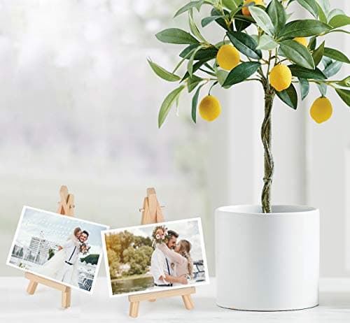 Anstore Lot de 20 Petit Chevalet en Bois Mini présentoir pour les Cartes de Visite, les Albums Photo, L'artisanat de Peinture Mariages Fêtes d'anniversaire (15 x 8 cm)