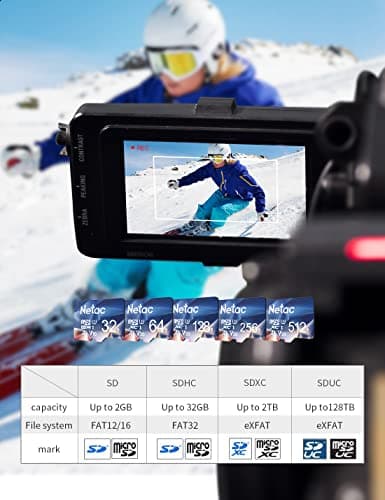 Netac 256 Go SDXC Carte Mémoire Micro SD pour Switch, Appareil Photo, Smartphone, PS Vita, PS4 Pro, Go Pro (UHS-1 A1 V30 U3 C10 4K UHD)