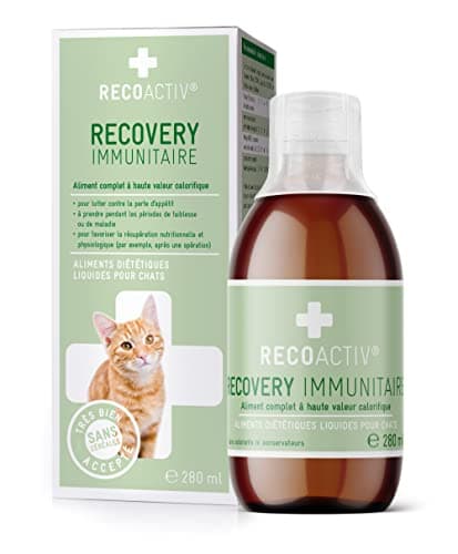 RECOACTIV Recovery Immunitaire pour Chats, 1 x 280 ML, Alimentation diététique complète hautement calorique en Cas de dénutrition et de Convalescence Ainsi pour la Prise de Poids