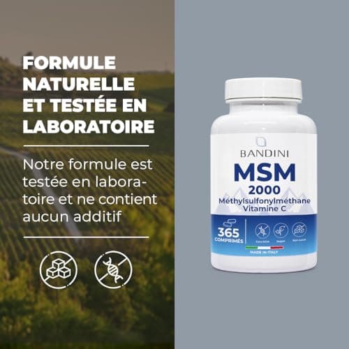 Bandini® MSM 2000 mg + Vitamine C | 365 Comprimés 100% Végan de Méthylsulfonylméthane | Complexe pour les Os, Articulations, Cheveux, Peau & Système Immunitaire | Soufre Complément Alimentaire Naturel