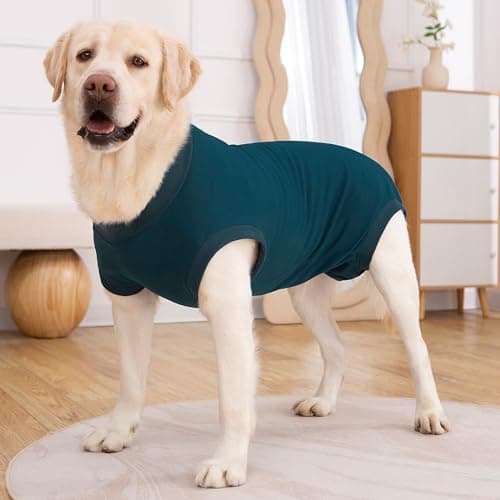 Axcimond Combinaison de Recuperation Chien Body Chien Post Operatoire Protection Chien Body Chirurgical Chien Body pour Chien Femelle Male après Stérilisation Alternative au Collerette Chien Operation