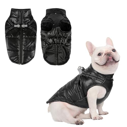 Manteau d'hiver Chaud pour Chien, Coupe-Vent Imperméable pour Chien, Gilet d'hiver pour Chien Veste d'hiver pour Petit Chien Manteau pour Chien Chiot avec Harnais(Noir L)