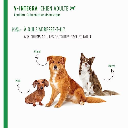 V-INTEGRA Chien Adulte - Supplément Complet Riche en vitamines et minéraux pour la Ration ménagère et Barf des Chiens Adultes - 500 g - Produit en Italie